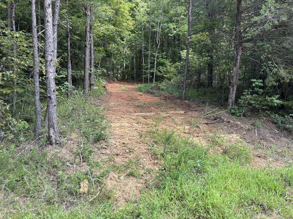 130 Tellico Camp Road, Madisonville, TN 37354