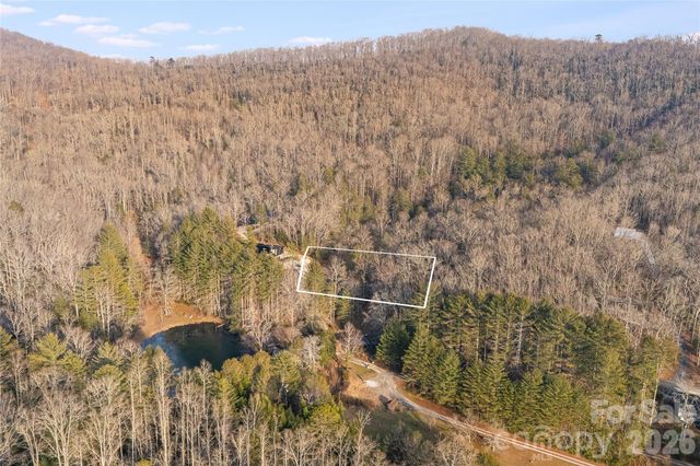 0000 Red Eft Way, Horse Shoe, NC 28742