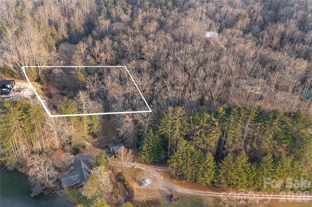 0000 Red Eft Way, Horse Shoe, NC 28742