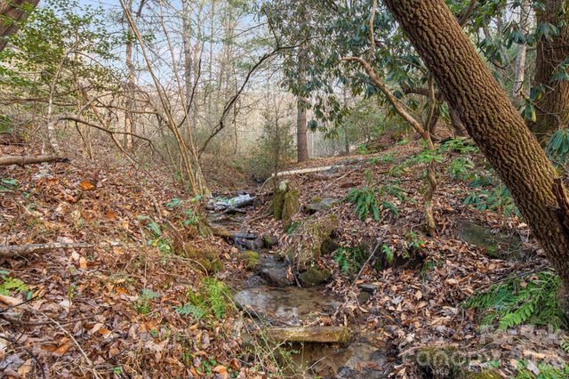 0000 Red Eft Way, Horse Shoe, NC 28742