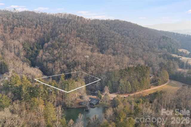 0000 Red Eft Way, Horse Shoe, NC 28742