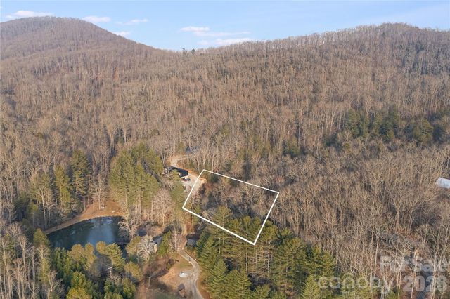 0000 Red Eft Way, Horse Shoe, NC 28742