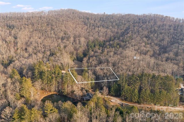 0000 Red Eft Way, Horse Shoe, NC 28742