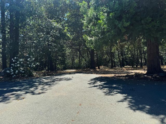 24665 Highway 88, Pioneer, CA 95666