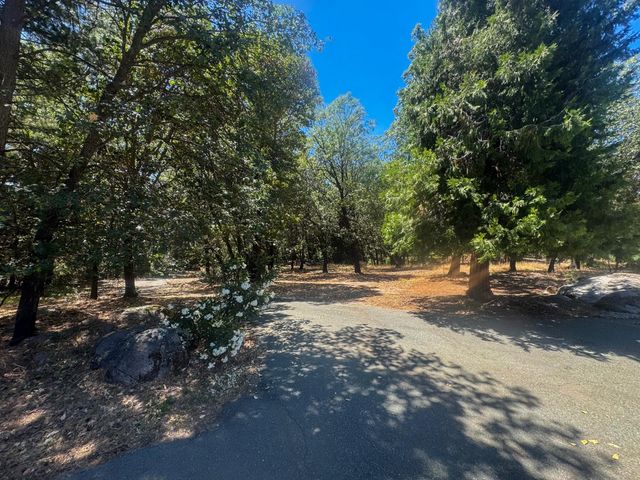24665 Highway 88, Pioneer, CA 95666