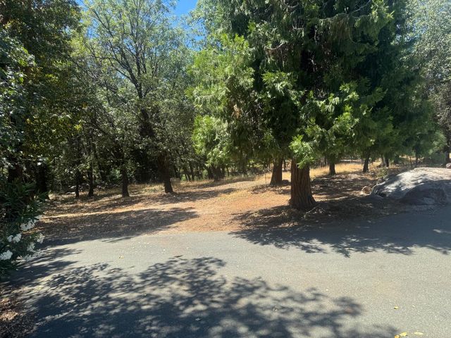24665 Highway 88, Pioneer, CA 95666