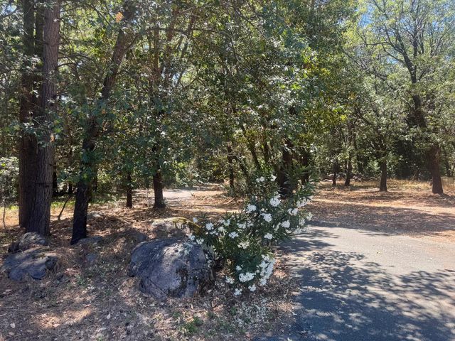 24665 Highway 88, Pioneer, CA 95666