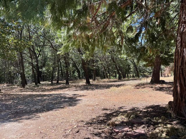24665 Highway 88, Pioneer, CA 95666
