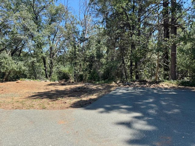 24665 Highway 88, Pioneer, CA 95666
