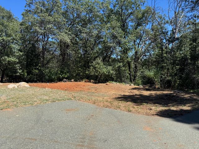 24665 Highway 88, Pioneer, CA 95666