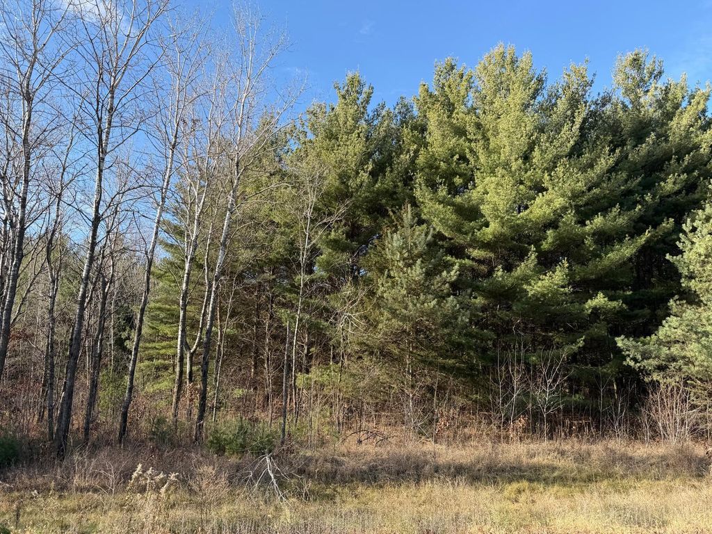 L10,Blk1 177th Street NW, Big Lake, MN 55309 — exterior