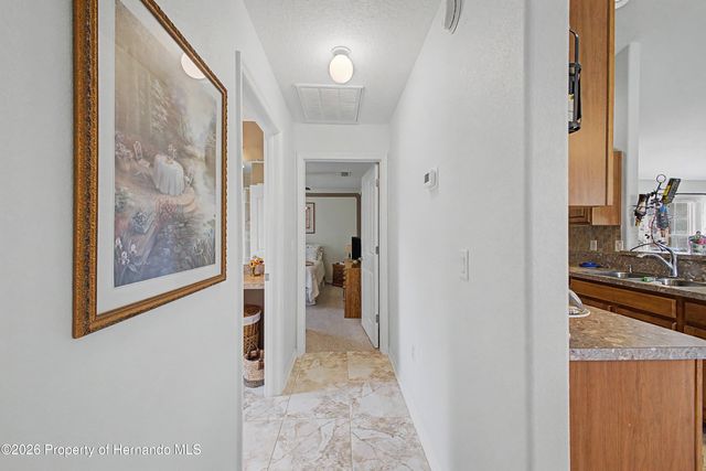 11351 Mississippi Kite Avenue, Weeki Wachee, FL 34614