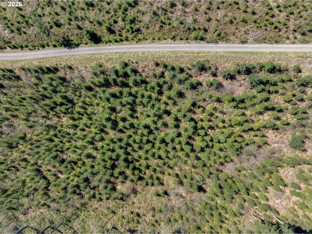 Ne 94 St 41, Camas, WA 98607