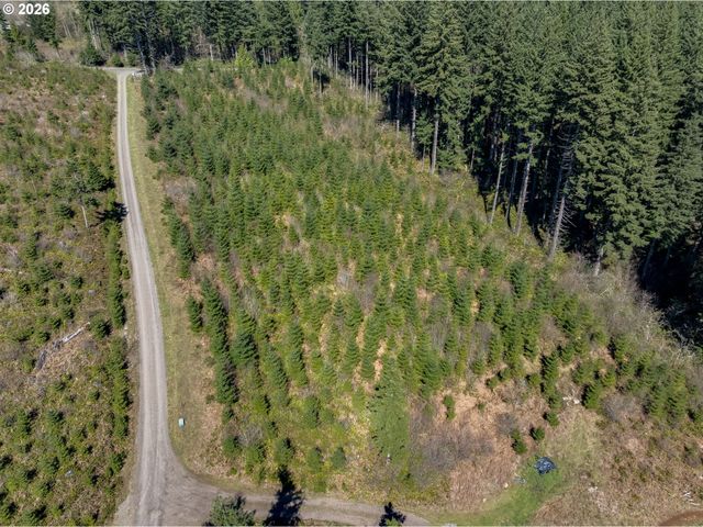 Ne 94 St 41, Camas, WA 98607