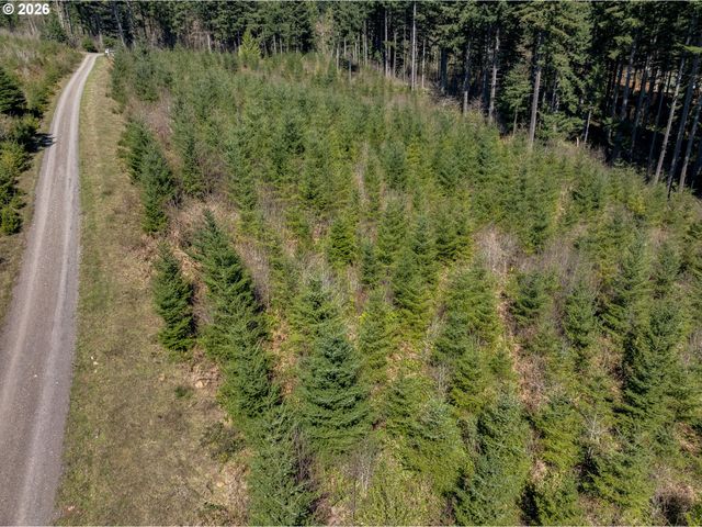 Ne 94 St 41, Camas, WA 98607