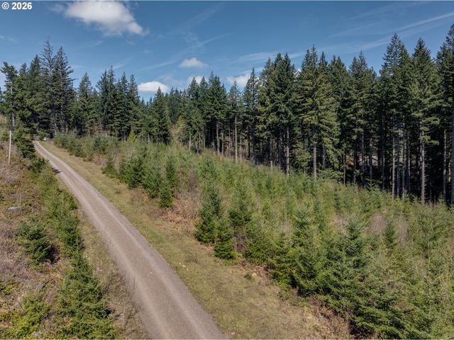 Ne 94 St 41, Camas, WA 98607