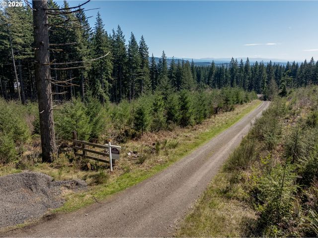 Ne 94 St 41, Camas, WA 98607