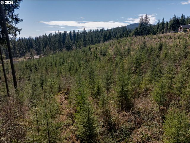 Ne 94 St 41, Camas, WA 98607