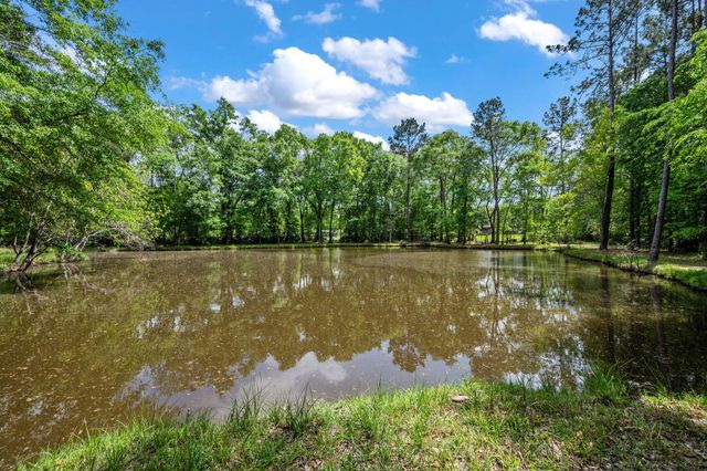 23731 Elmwood Drive, Porter, TX 77365