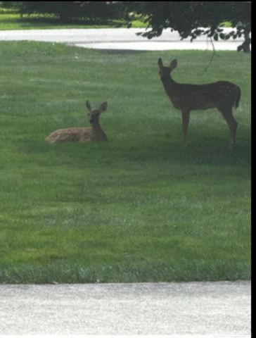 21860 Normandale Street, Beverly Hills, MI 48025