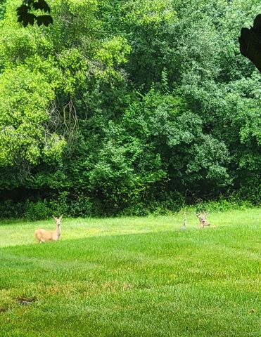 21860 Normandale Street, Beverly Hills, MI 48025