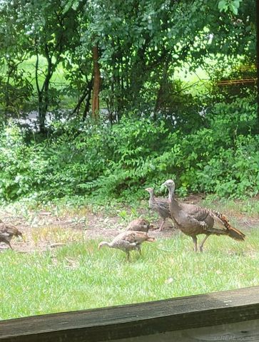 21860 Normandale Street, Beverly Hills, MI 48025