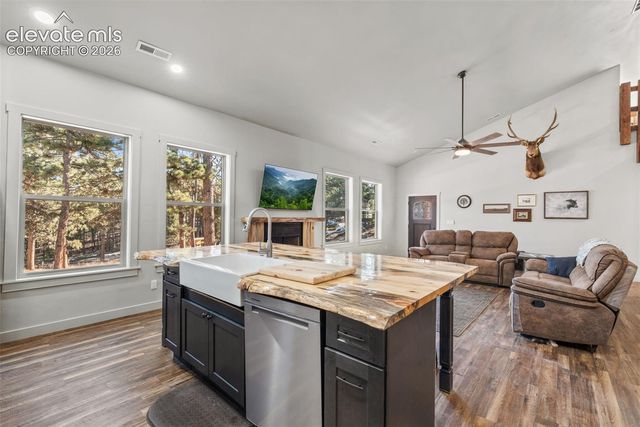 2270 Pikes Peak Drive, Florissant, CO 80816