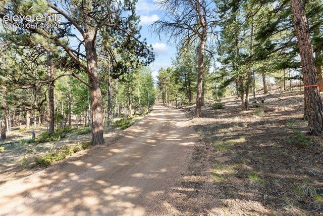 2270 Pikes Peak Drive, Florissant, CO 80816