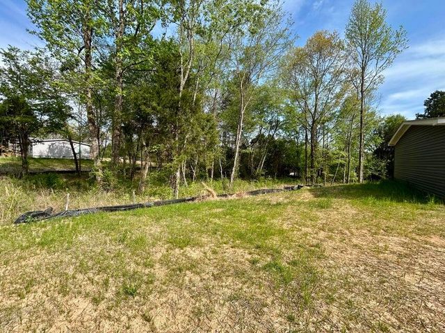 224 Sable Road, Spring City, TN 37381