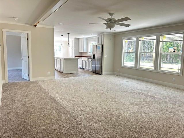 224 Sable Road, Spring City, TN 37381