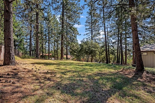 11380 Clinton Bar Rd, Pine Grove, CA 95665