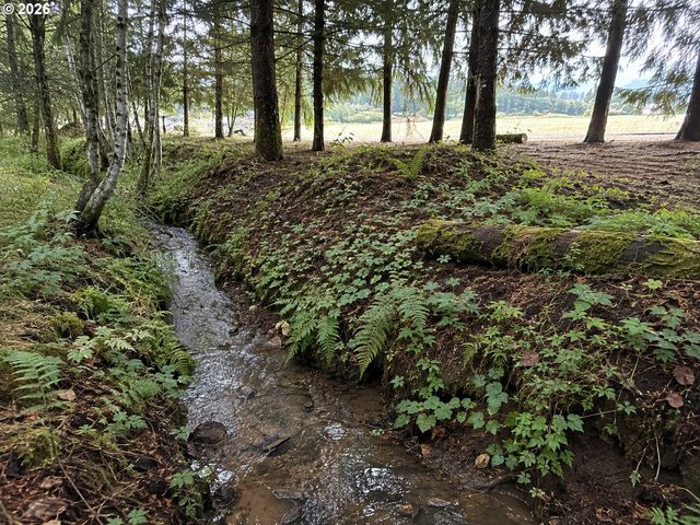 48500 Nw OPPENLANDER Ln, Forest Grove, OR 97116