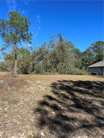 3188 N Barton Creek Circle, Lecanto, FL 34461