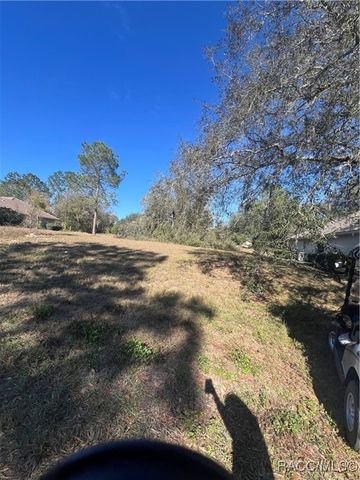 3188 N Barton Creek Circle, Lecanto, FL 34461