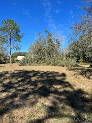 3188 N Barton Creek Circle, Lecanto, FL 34461