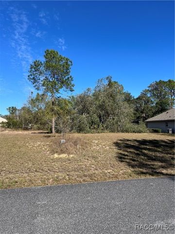 3188 N Barton Creek Circle, Lecanto, FL 34461