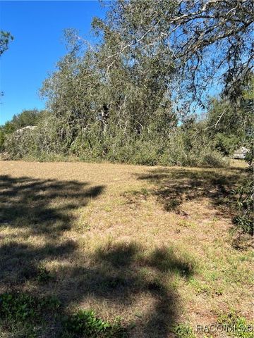 3188 N Barton Creek Circle, Lecanto, FL 34461