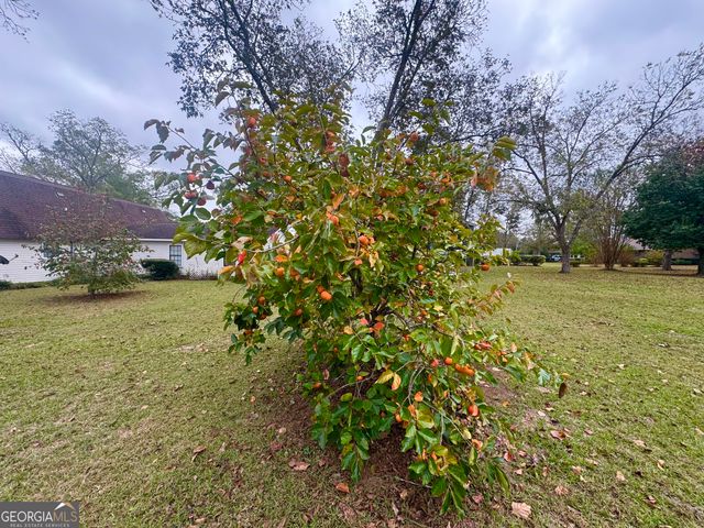 509 Lakeview Drive, Dexter, GA 31019