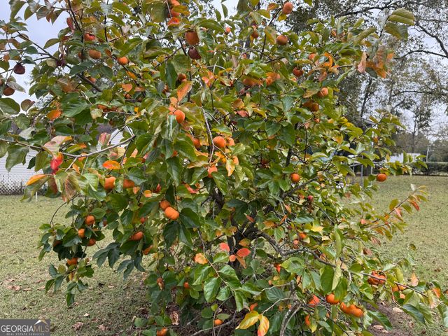 509 Lakeview Drive, Dexter, GA 31019