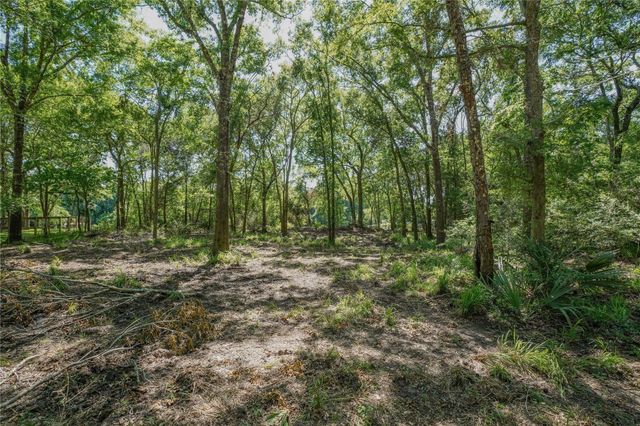 0 Riverside, Webster, TX 77598
