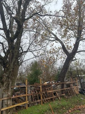 839 Fortune Street, Houston, TX 77088