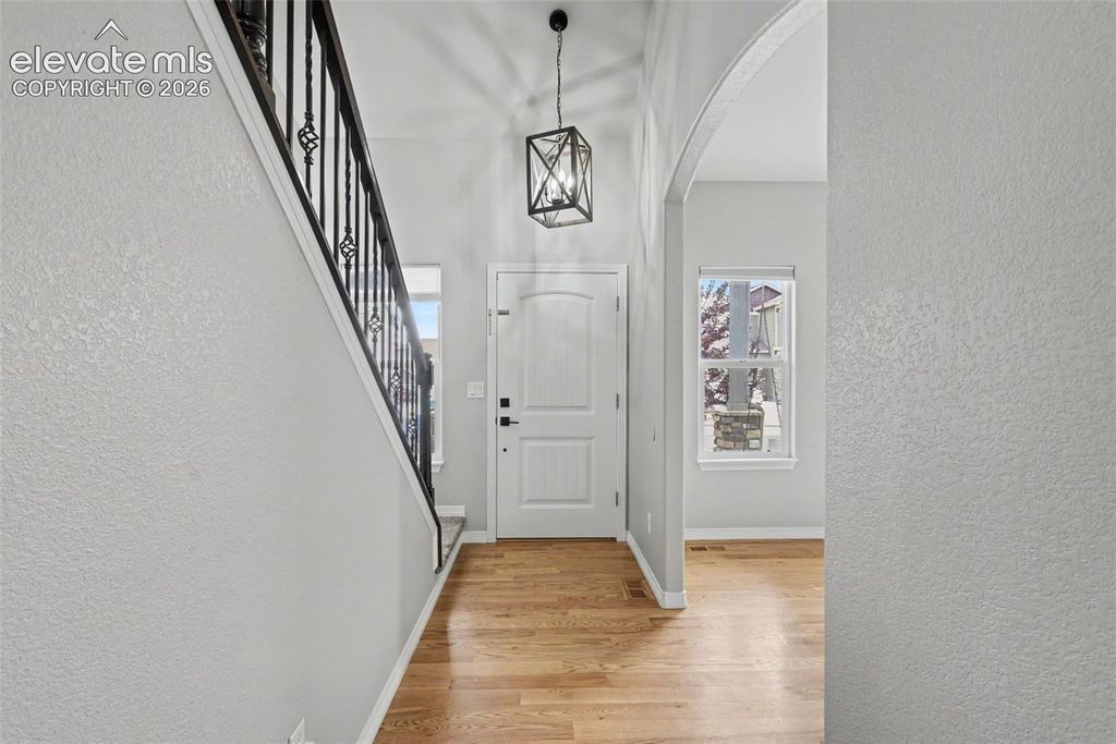 976 Pistol River Way, Colorado Springs, CO 80921 — photo 2