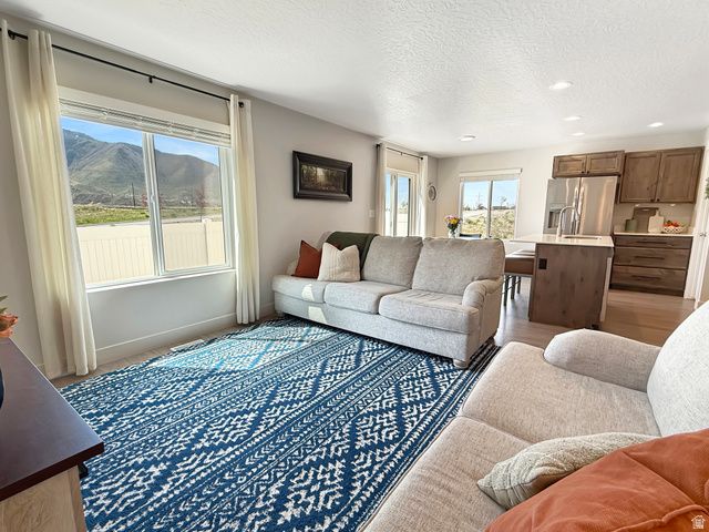 3991 S WHITE ASH DR, Mapleton, UT 84664
