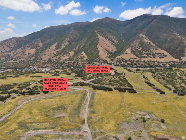 3991 S WHITE ASH DR, Mapleton, UT 84664