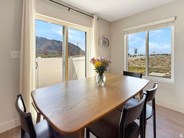 3991 S WHITE ASH DR, Mapleton, UT 84664