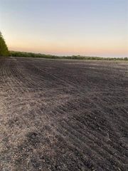TRACT-4 COUNTY RD 4410 Lot 4, Whitewright, TX 75491