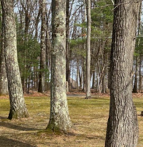 11 Fairway Drive, Highland Lake, NY 12743