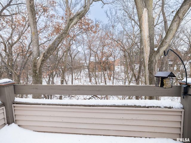 5626 N WITHERSHIN Point, Peoria, IL 61615