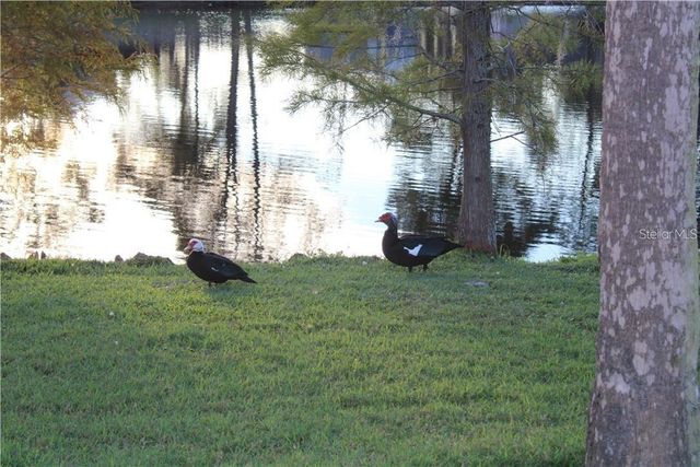 11401 WAVELAND WAY, Tampa, FL 33624