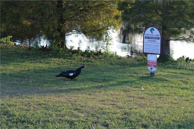 11401 WAVELAND WAY, Tampa, FL 33624